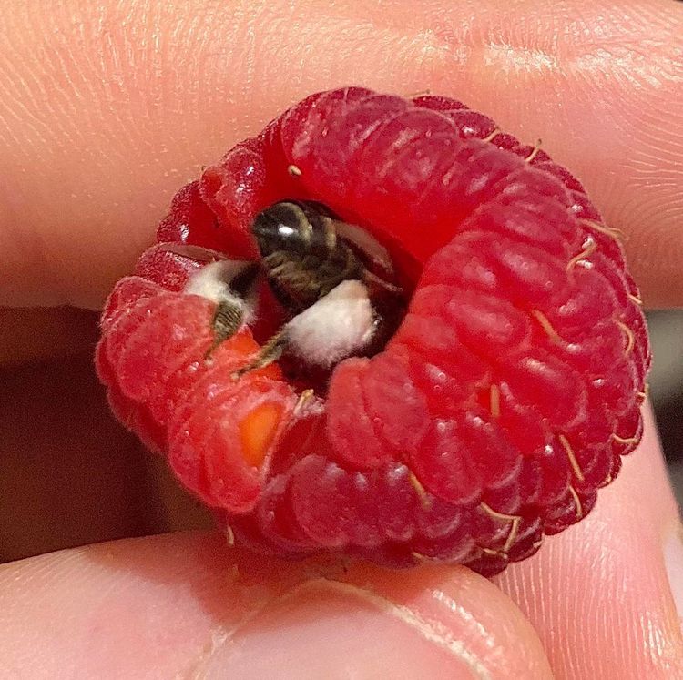 12-15-18-16396571171148473397