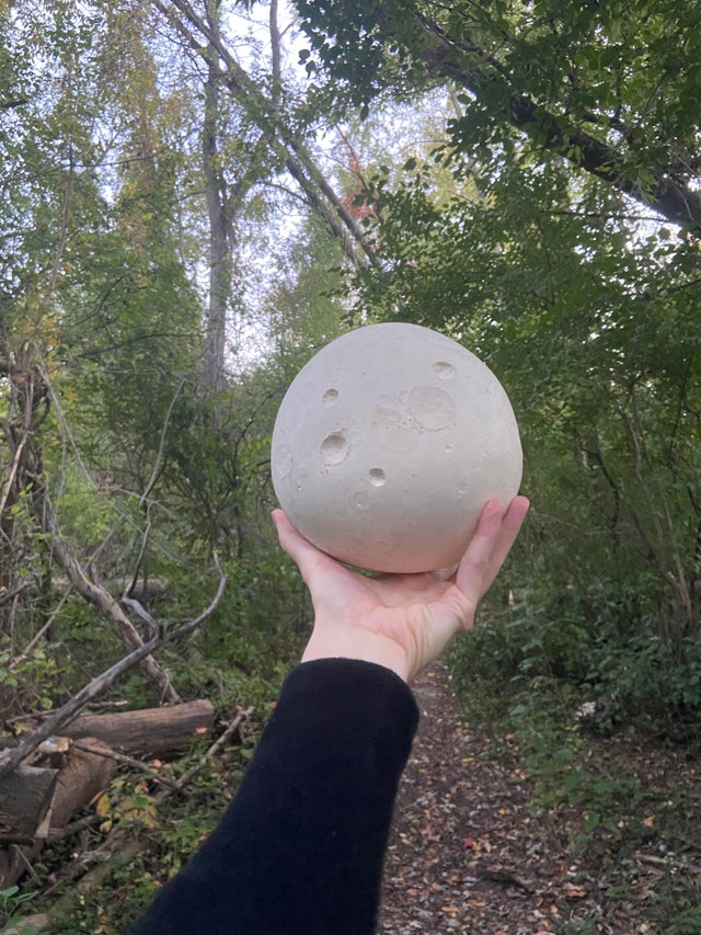 12-15-18-1639657123789790117