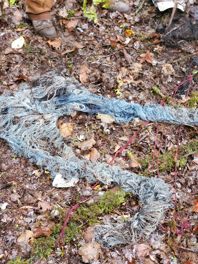 12-15-18-16396571281047389250