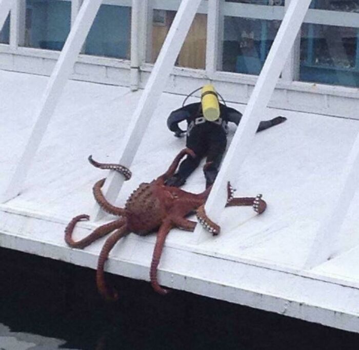 12-15-23-1638793380269773848