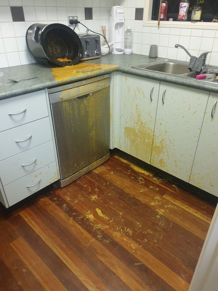 12-15-49-16400909501328822966