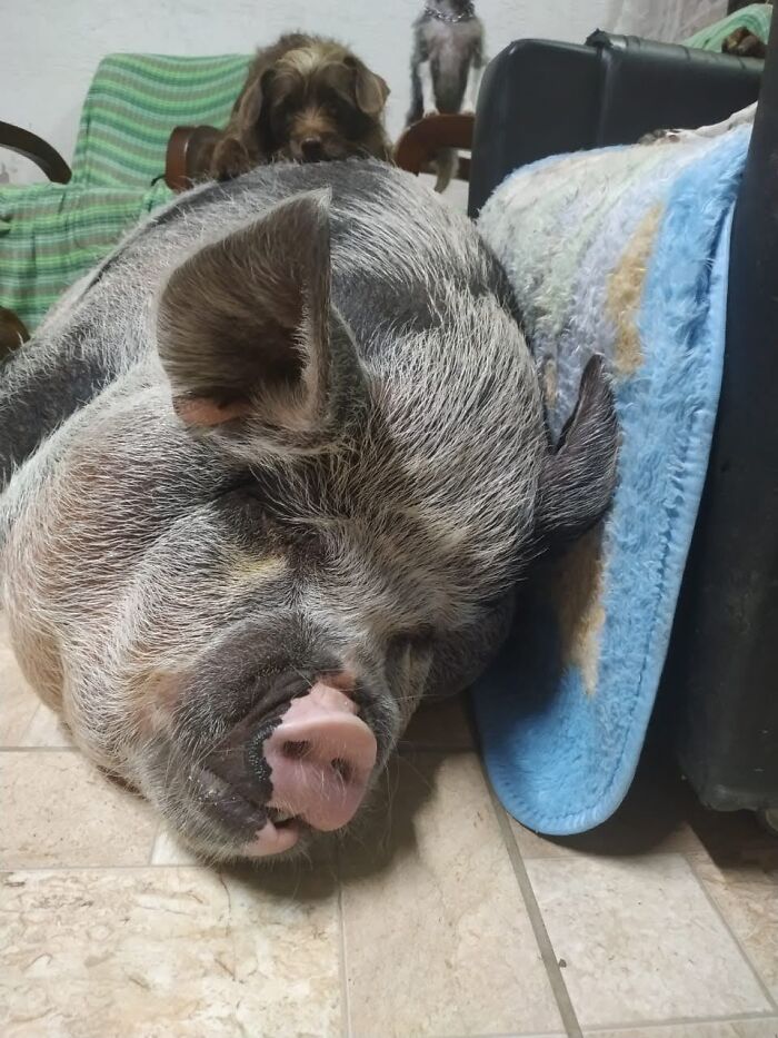 12-16-18-16390558821766182880