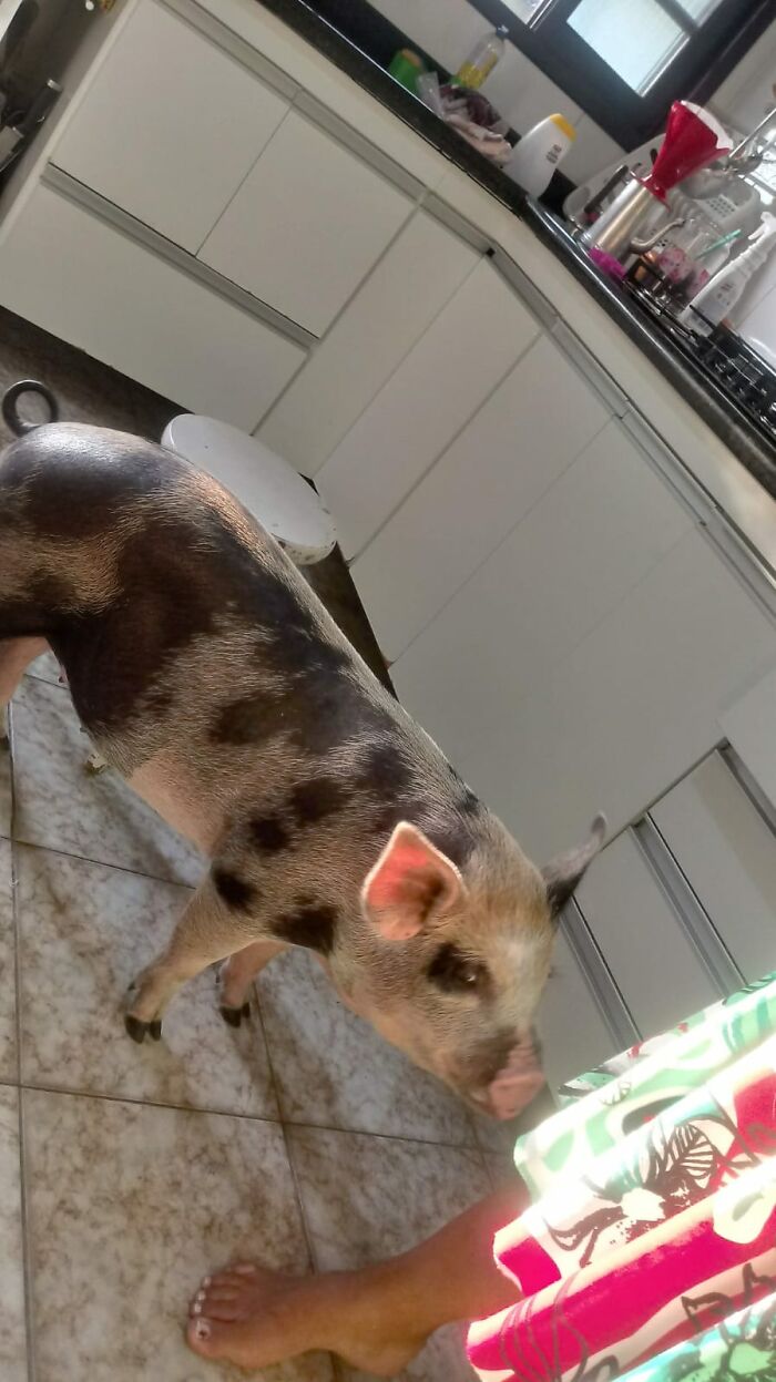 12-16-18-16390558821790929839