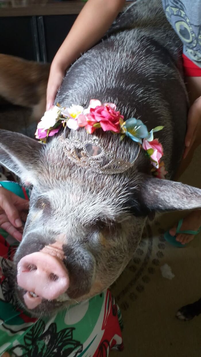 12-16-18-1639055882907939920