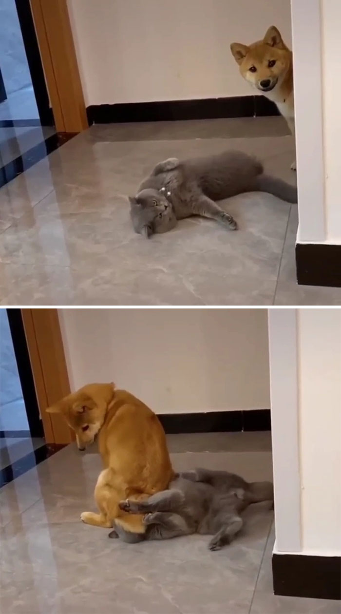 12-17-56-16408762021928792569