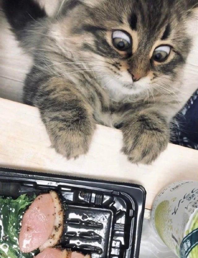 12-17-56-16408762091074640435