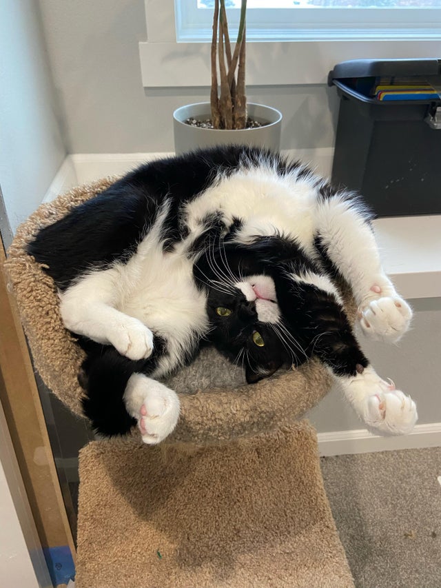 12-17-57-1640876220971101996