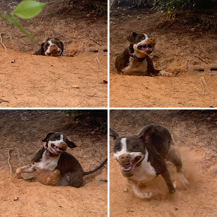 12-17-57-16408762381230699552