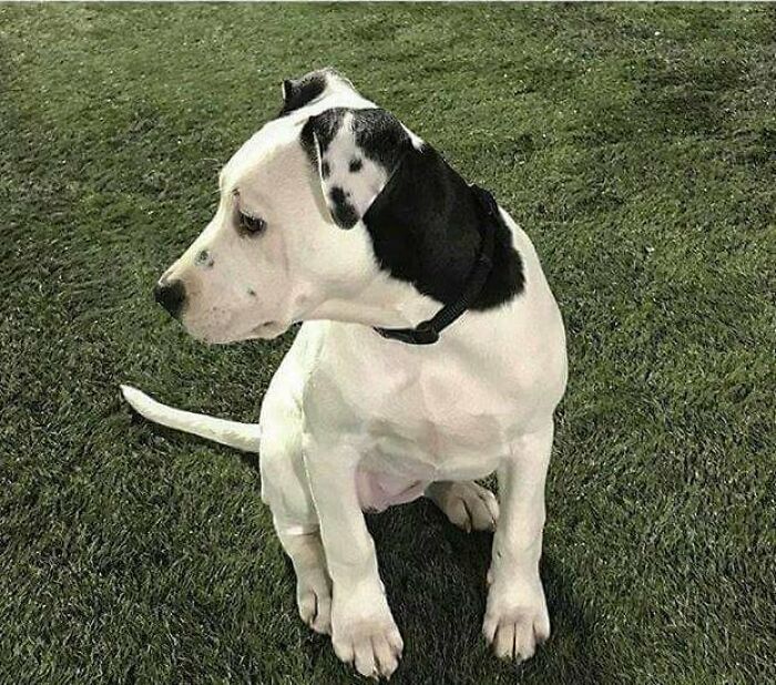 12-18-15-1638890115766557187