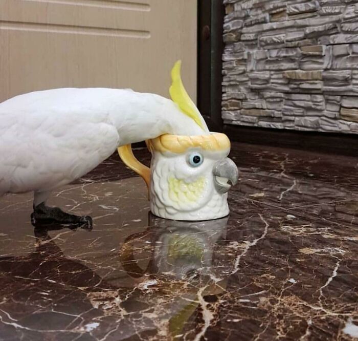 12-18-16-16388901701184841392