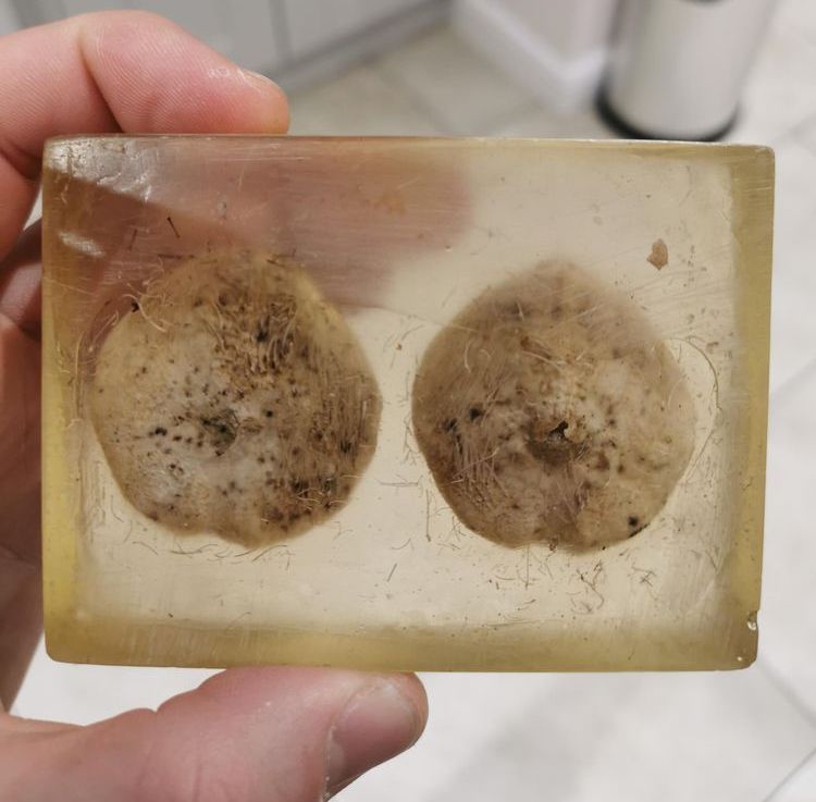 12-22-37-16385602711757759601