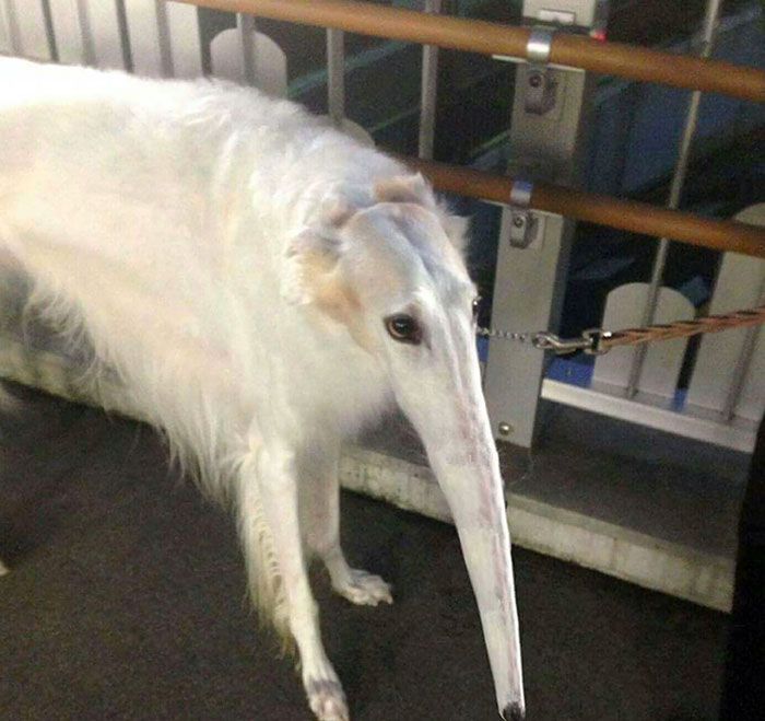 01-13-02-1642672923220144132