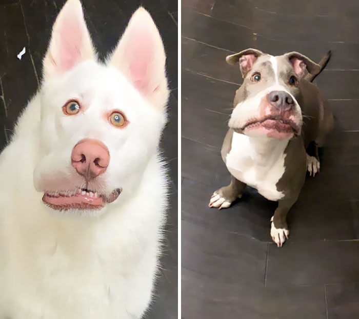 01-13-02-16426729281830508996