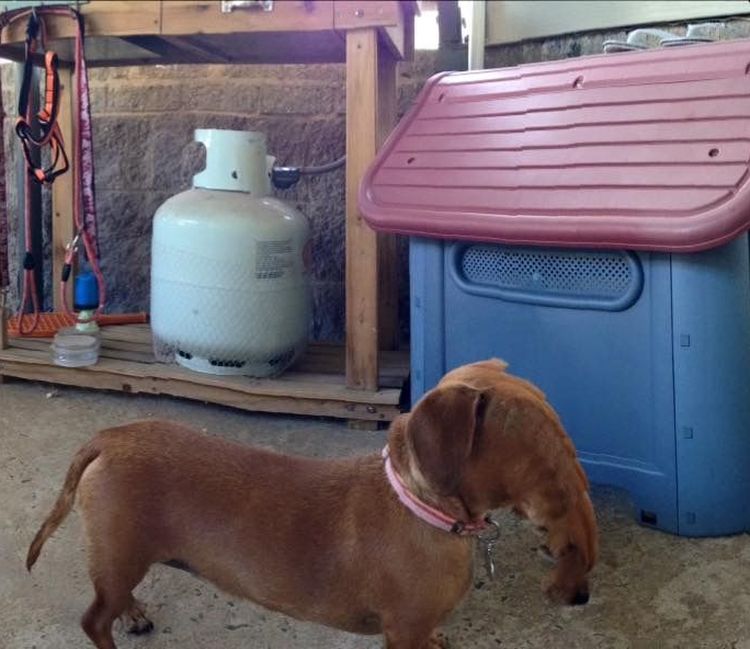 01-13-02-16426729351089898620