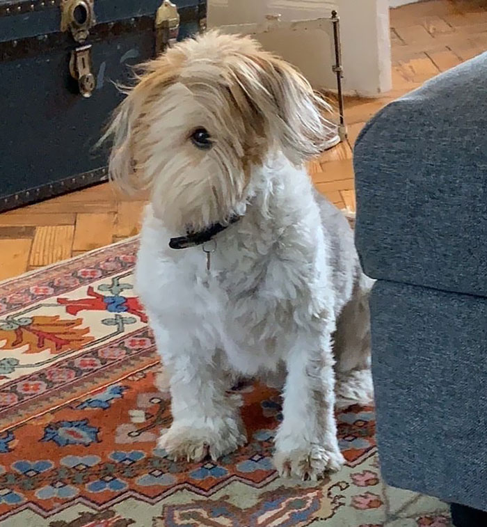 01-13-02-16426729711414764751