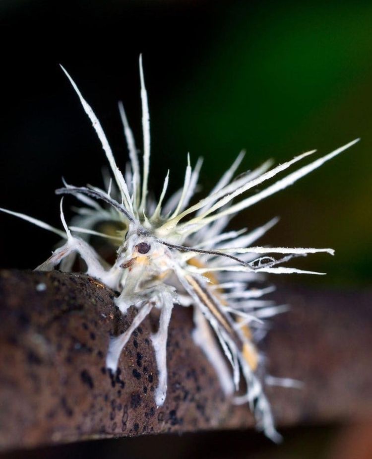 01-14-51-1642765915858256414