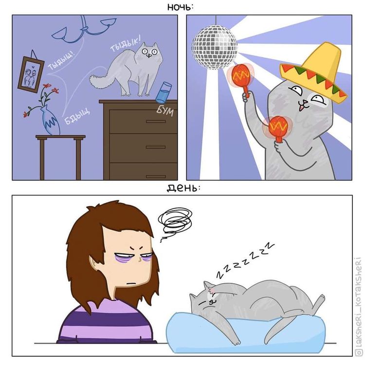 01-14-53-16431115881776269439