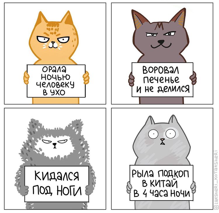 01-14-53-16431115961386639