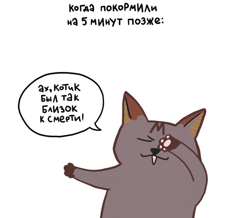 01-14-53-16431116091350842675