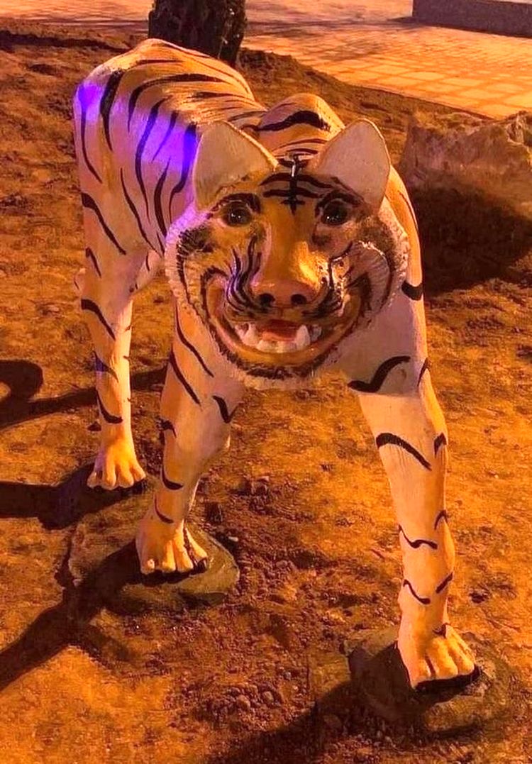 01-15-22-16430269421460722289