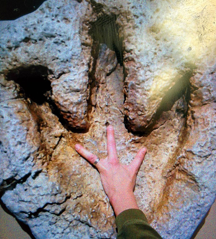 01-17-54-16425176481747148683