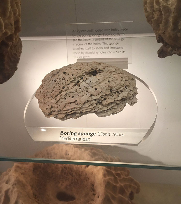 01-17-54-16425176551752790422