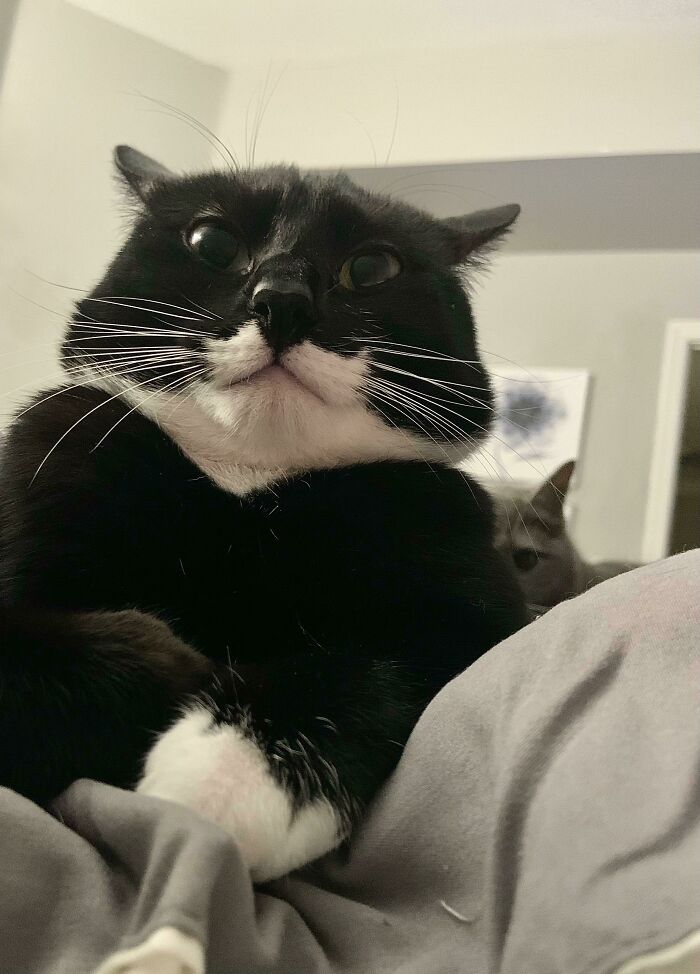 01-18-22-16432969491256056305