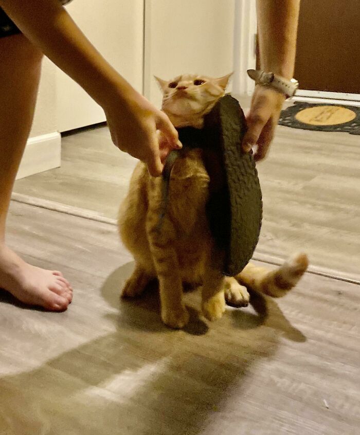 01-18-25-16432971541723579361