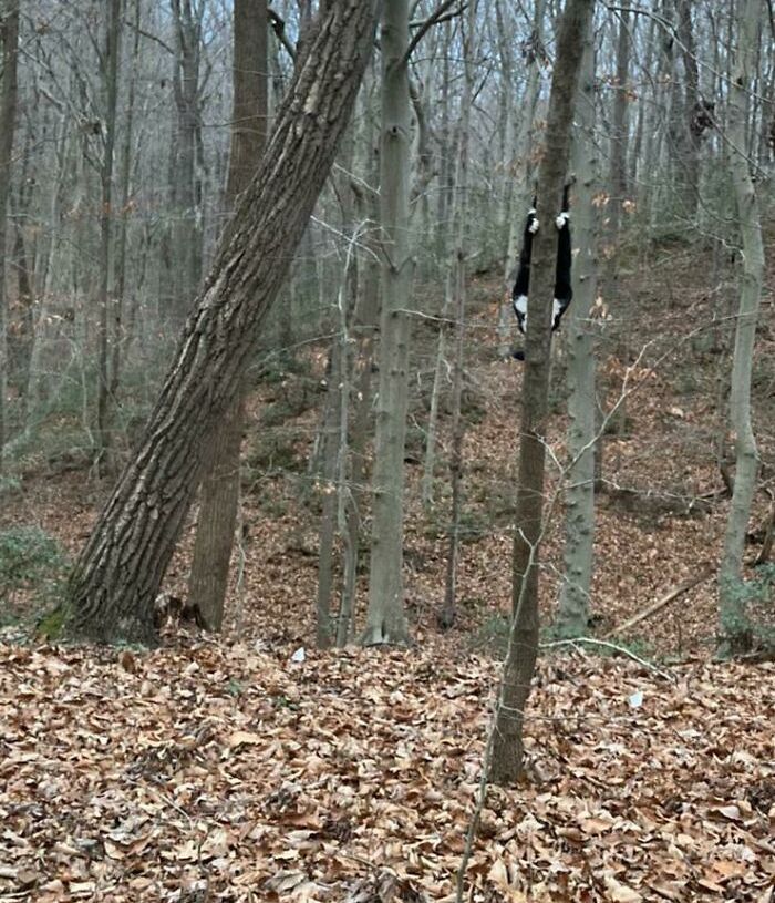 01-18-25-16432971591107240966