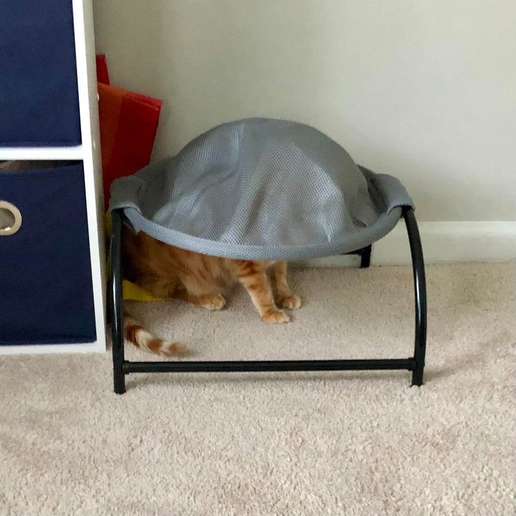 01-18-26-1643297164383091272