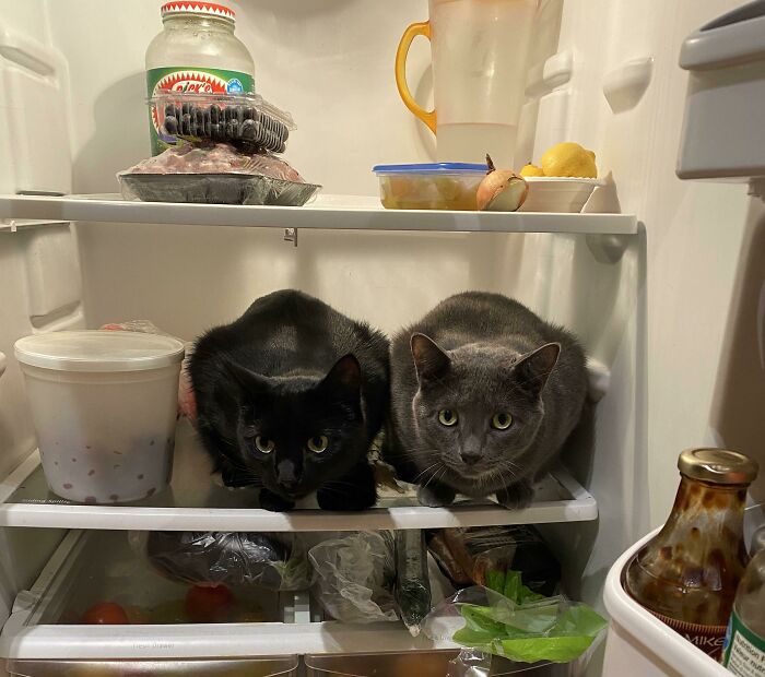 01-18-26-1643297185746714181