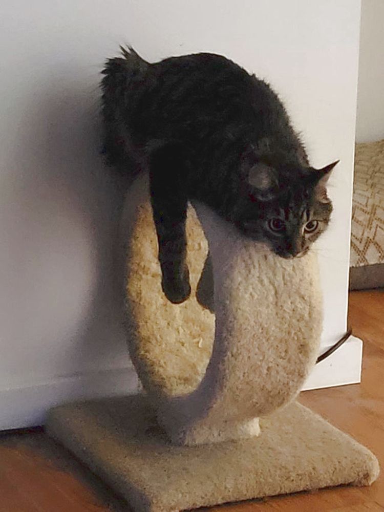 01-18-26-16432971881616651747