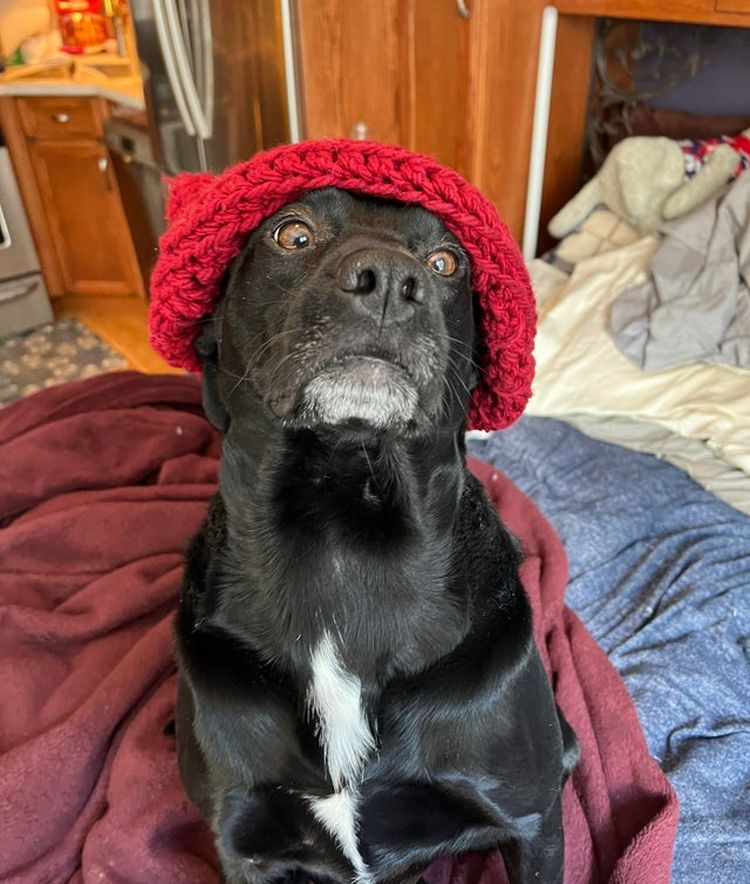 01-19-14-1643386481823841732