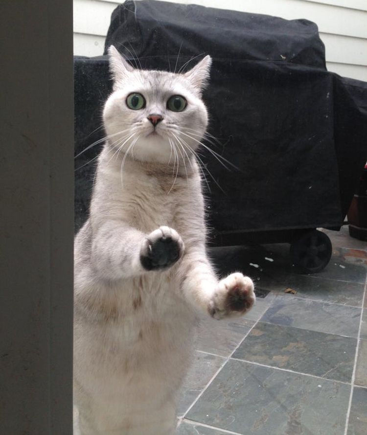 01-19-15-16433865192018011718