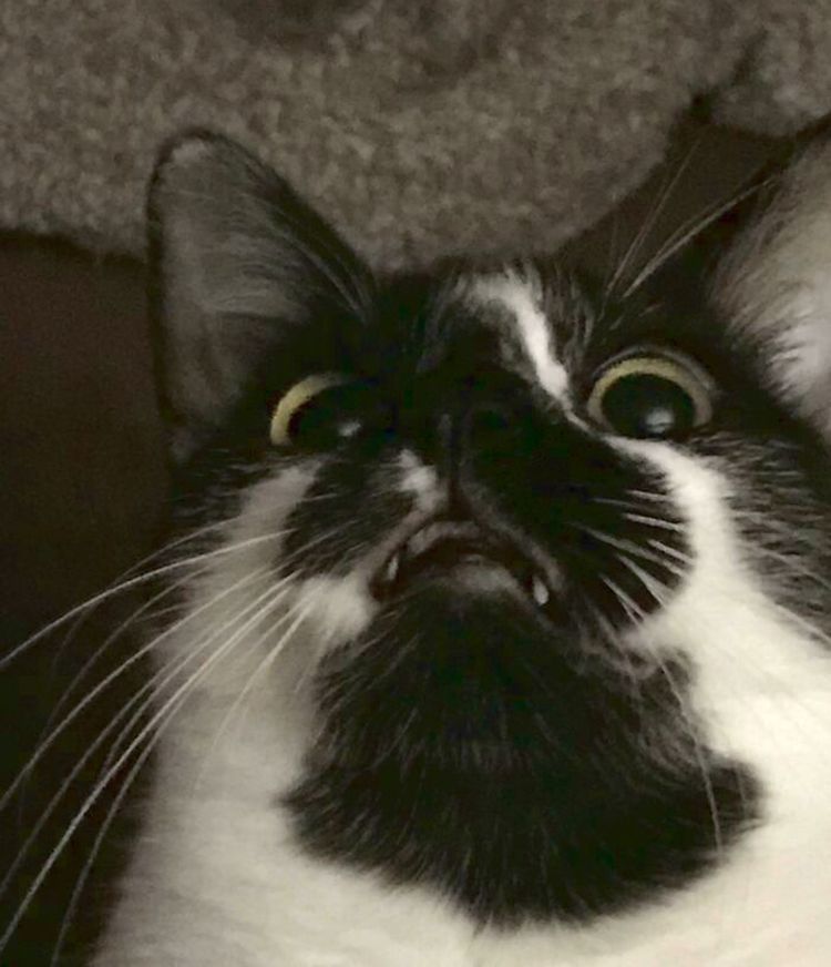 01-19-15-1643386526678136908