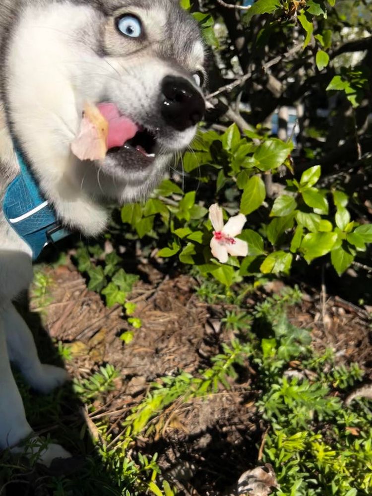 01-19-15-16433865281871540849