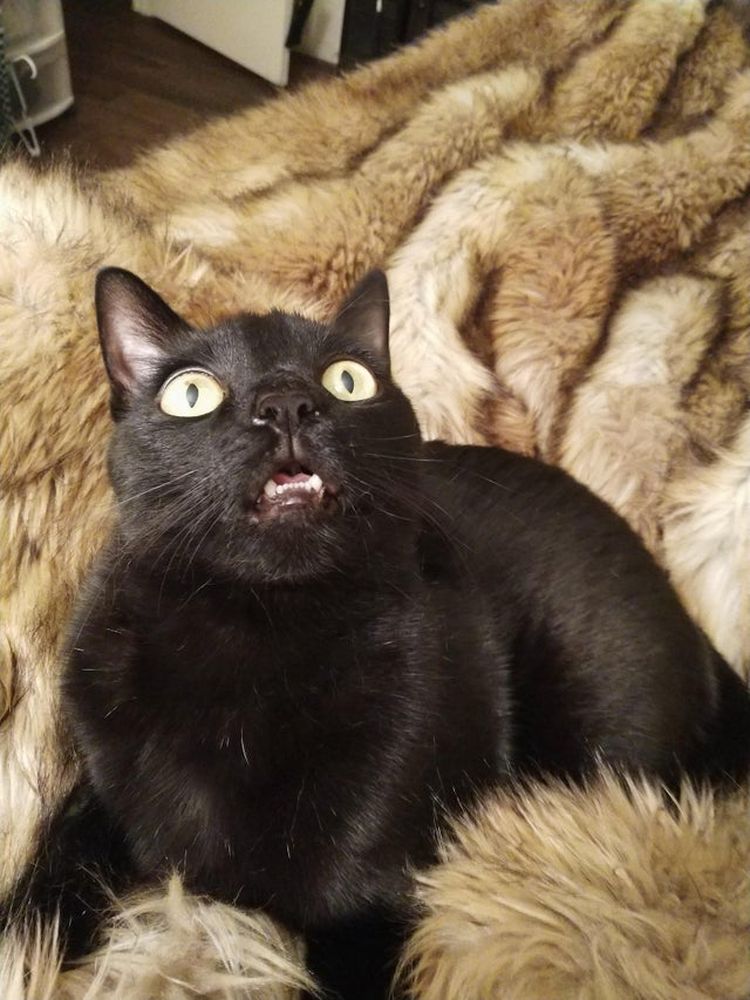 01-19-15-1643386531686238045