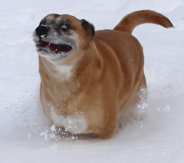 01-19-15-1643386536788813507