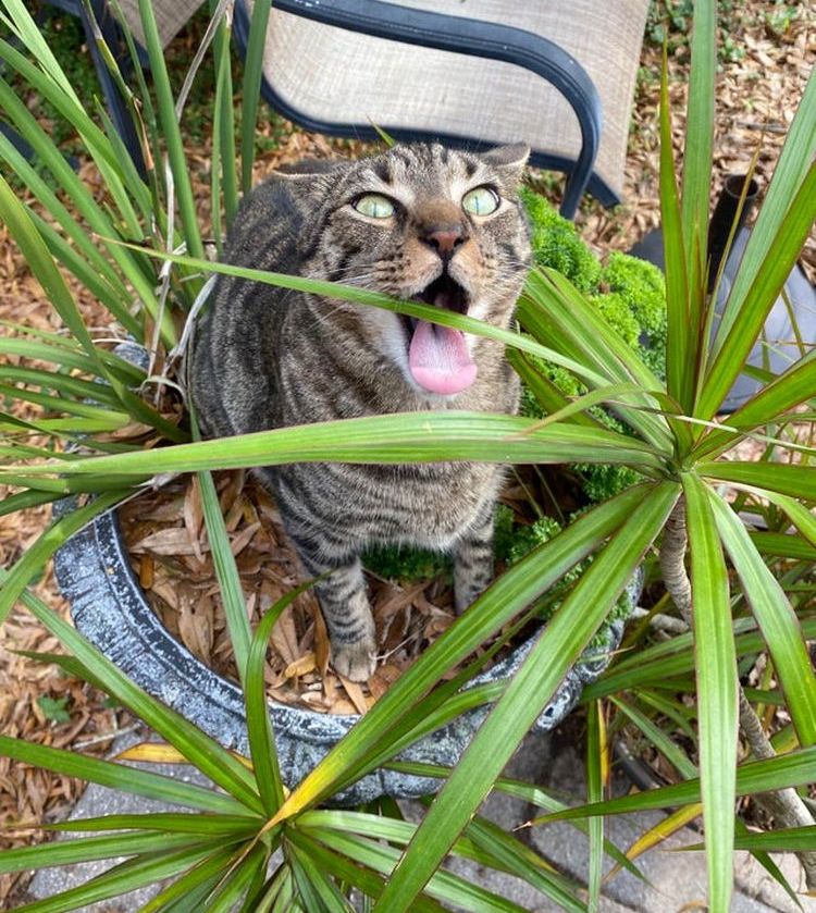 01-19-15-1643386539548671416