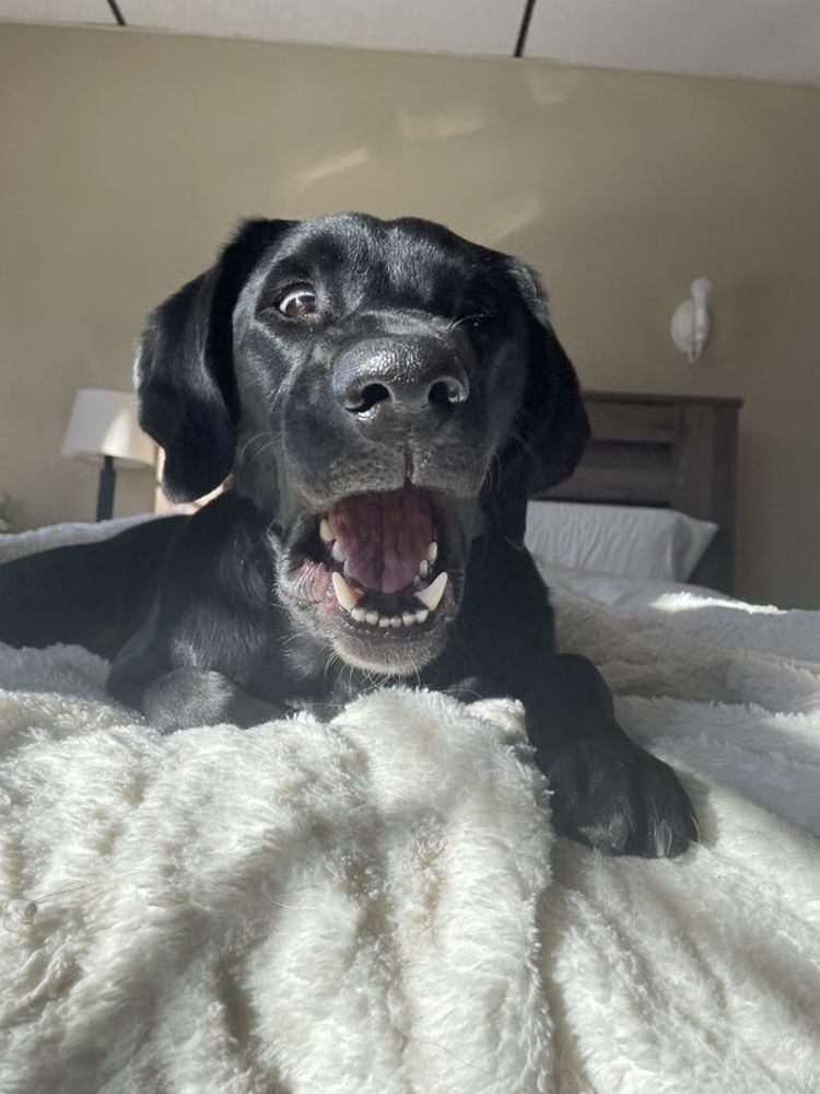 01-19-15-1643386542169729211