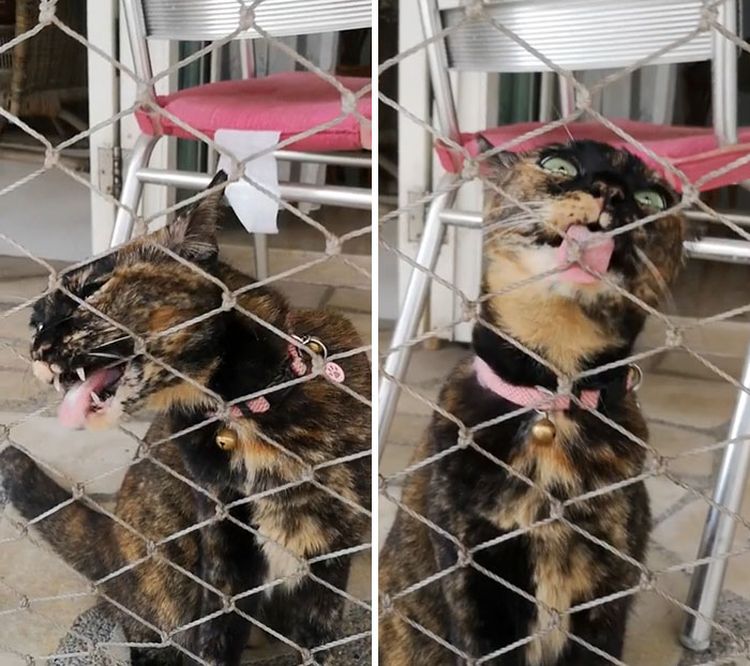 01-19-15-16433865461511340011