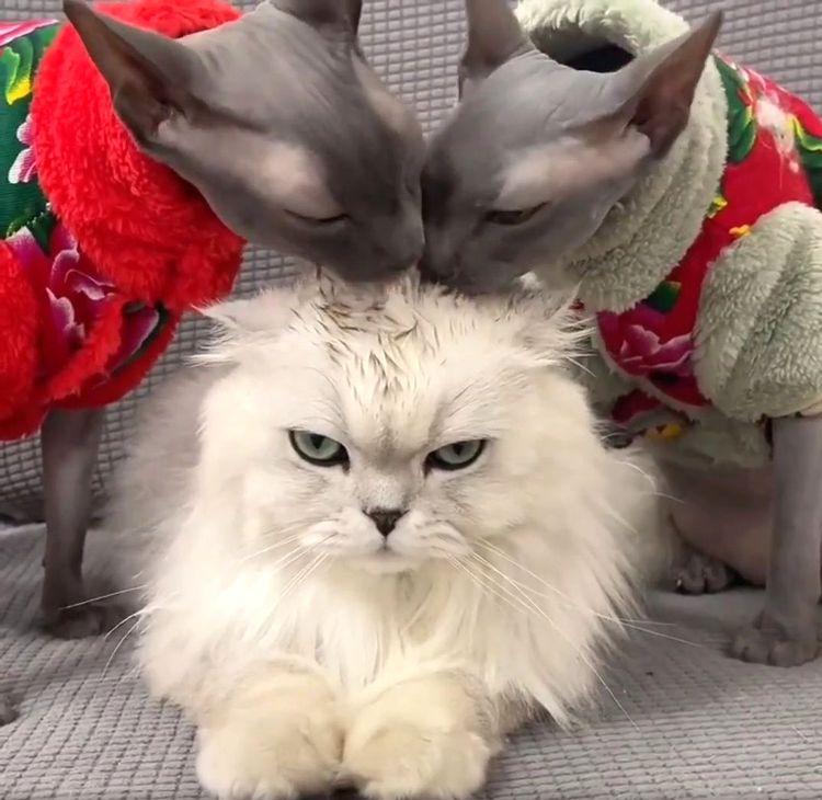 01-19-15-16433865511582557943