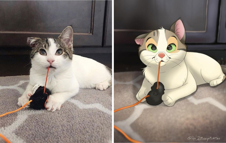 02-11-08-1644480534190393727