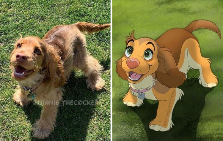 02-11-09-1644480577373265619