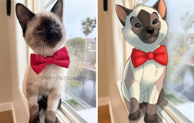 02-11-10-1644480645341484791