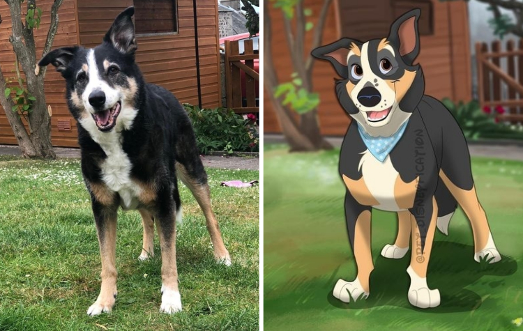 02-11-11-16444807021602536041