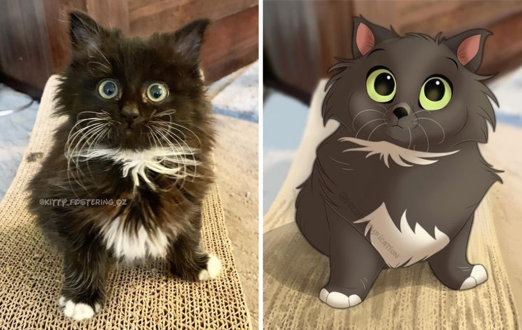 02-11-11-1644480702650643144