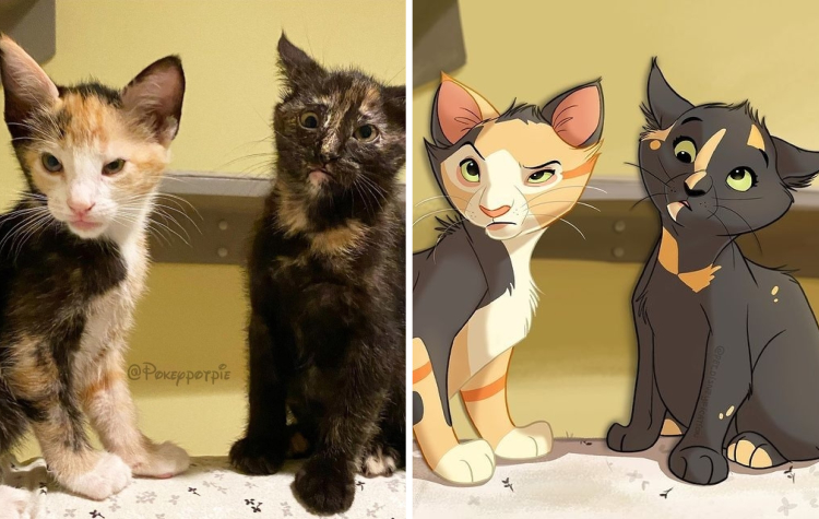 02-11-11-16444807031059930148