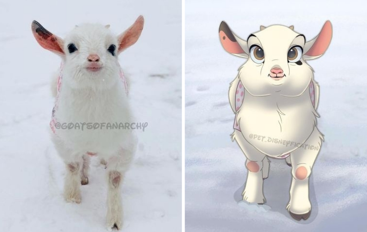 02-11-11-1644480703219895780