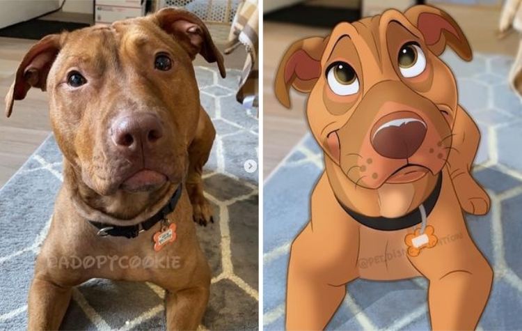 02-11-11-1644480703585091274